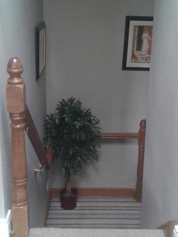 Bed and Breakfast Ryebrook House Killarney Exteriér fotografie